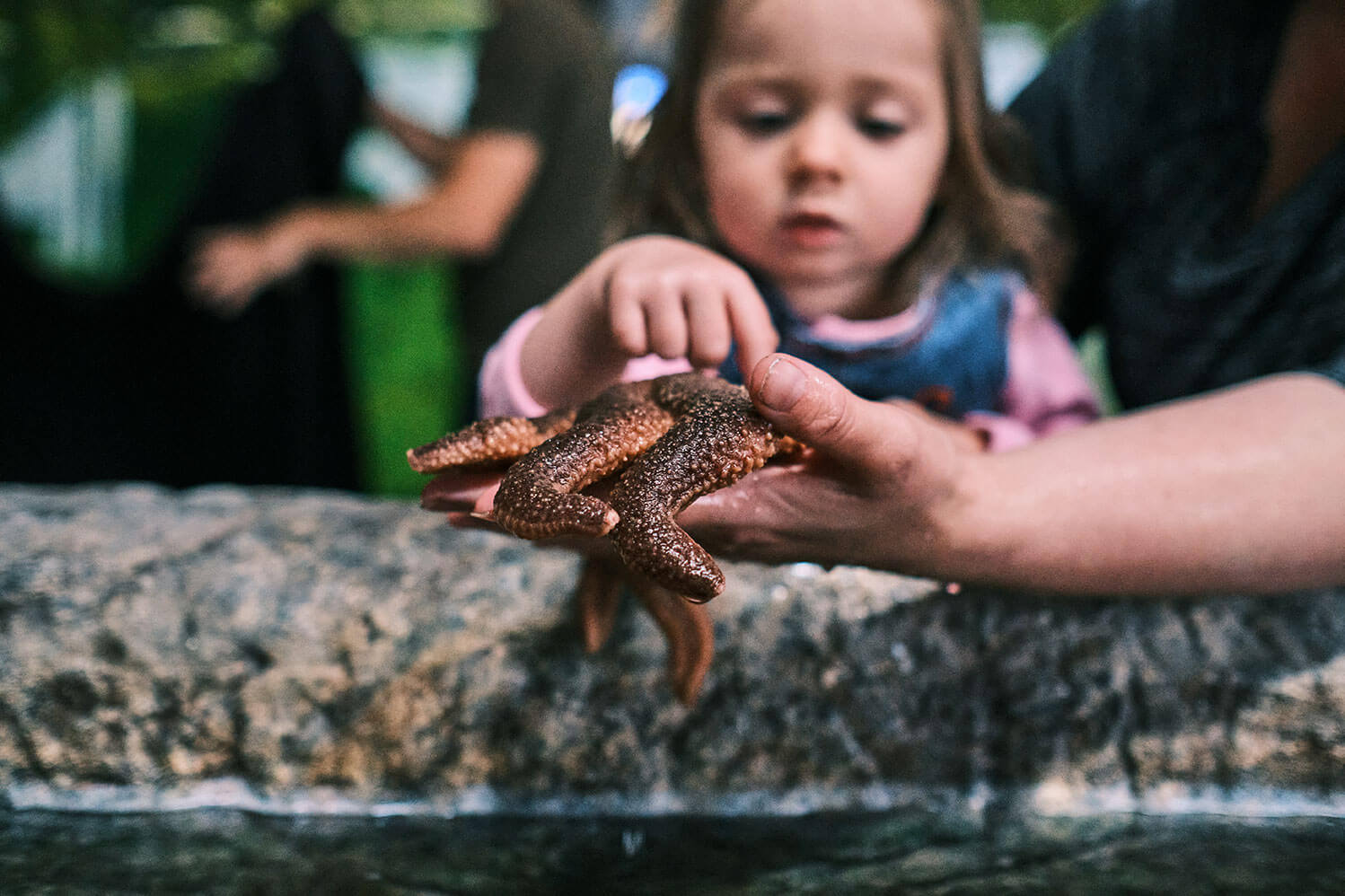 Petite fille touchant une créature marine dans les mains d'un guide au Musée du Fjord de Saguenay.