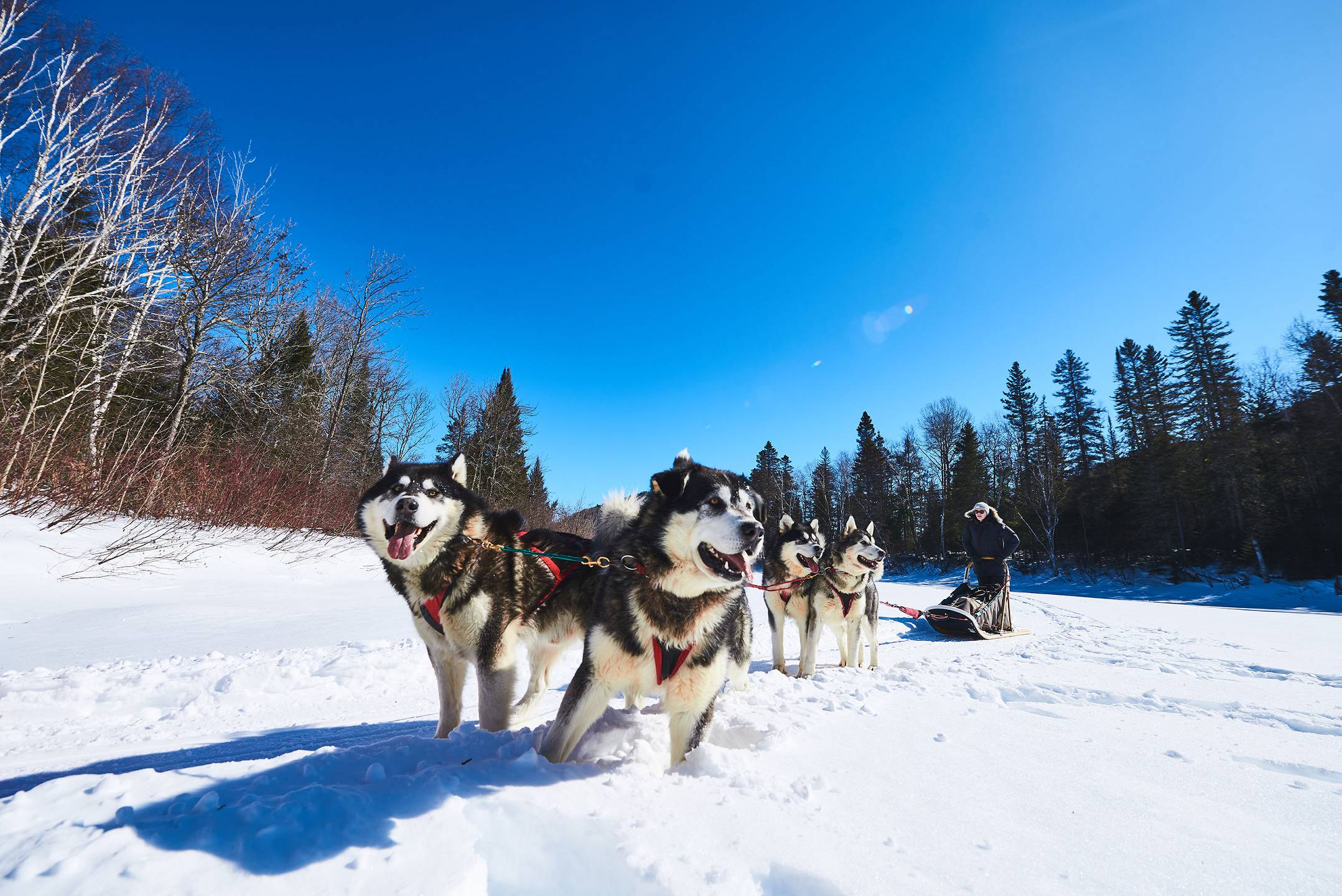 Saguenayfjord Entre Chienetloup2
