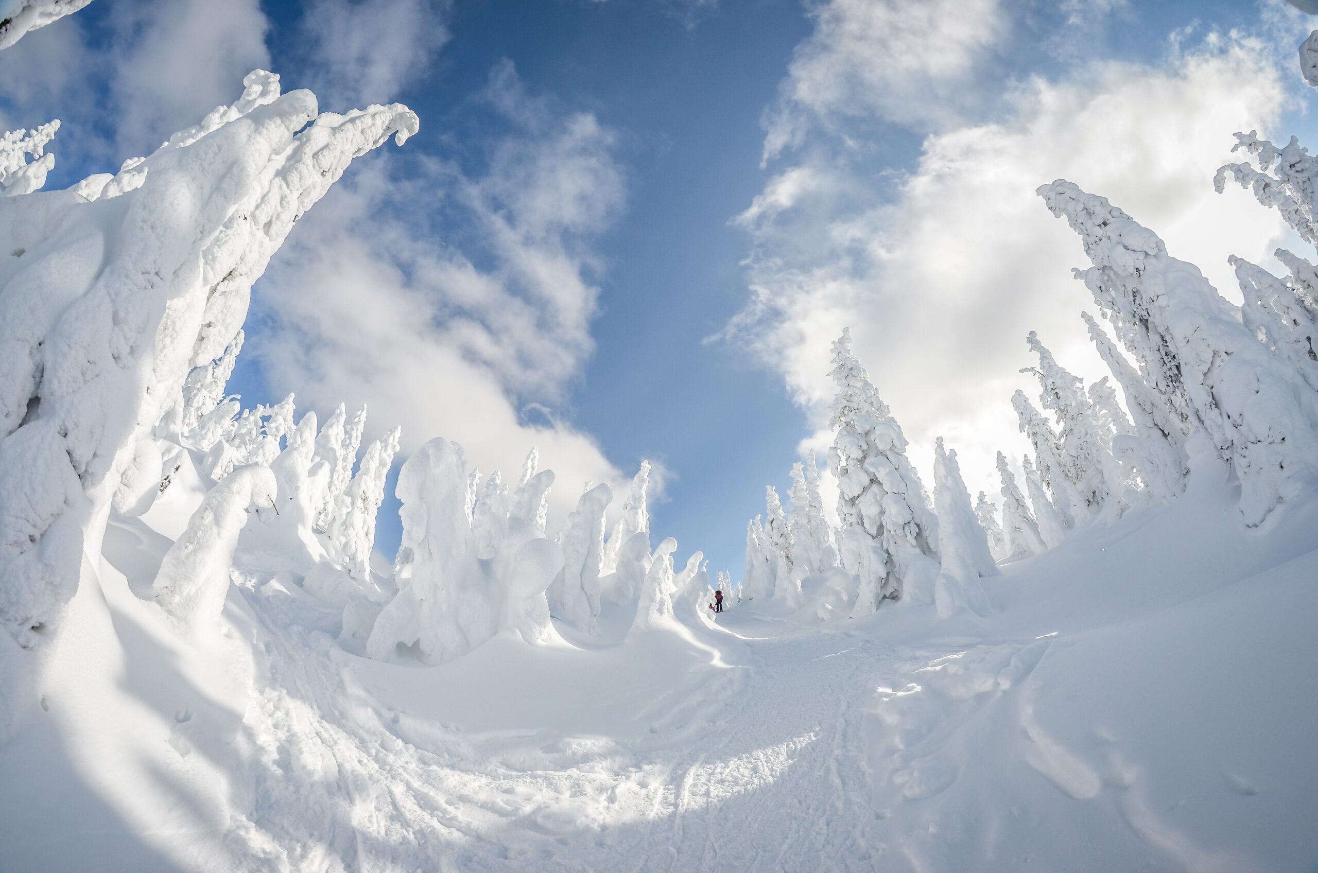 Parc National Des Monts Valin Hiver ©Fabrice Tremblay 2012 (29)