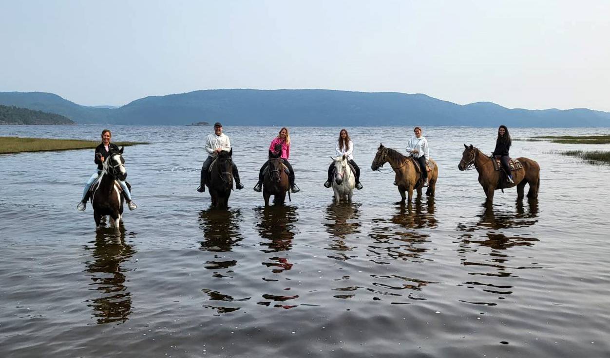 Saguenayfjord Centre Equestre Des Plateaux