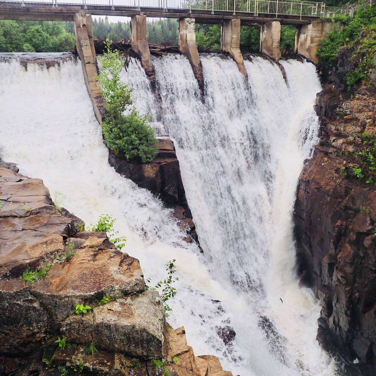 saguenayfjord-contact-nature-centre-plein-air-bec-scie