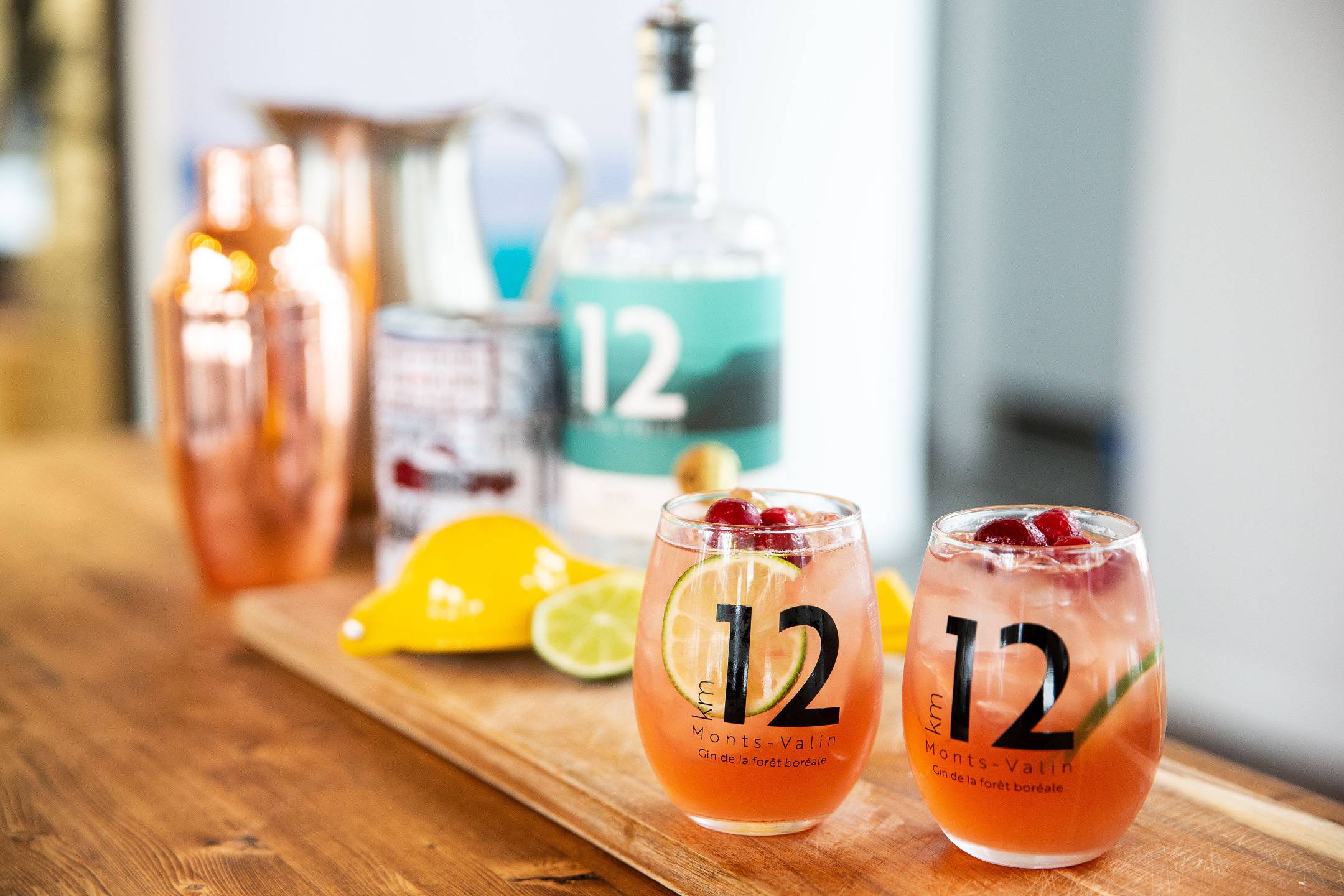 saguenayfjord-distillerie-du-fjord-7-copyright-joseph-roby