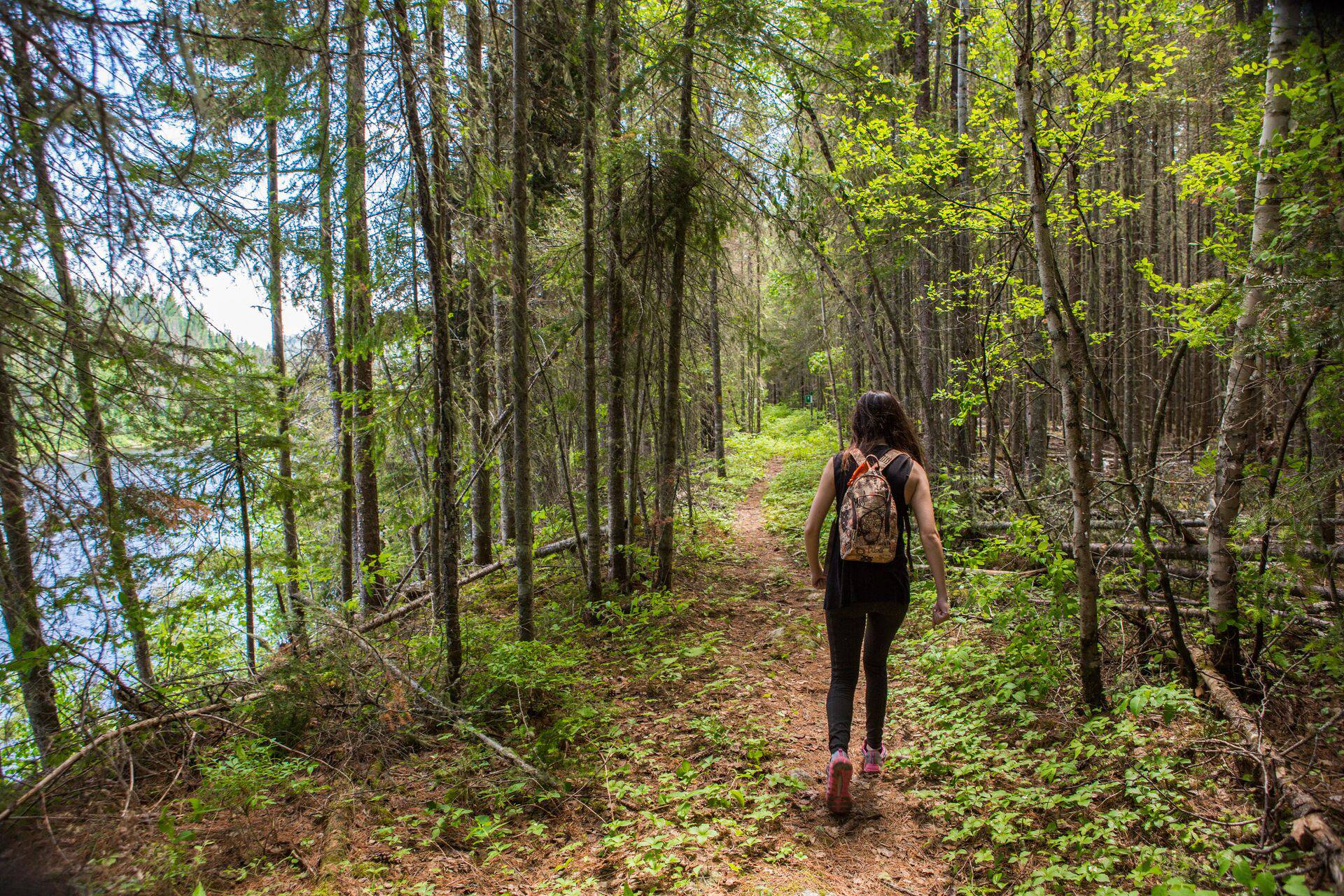 saguenayfjord-parc-regional-du-lac-kenogami-2