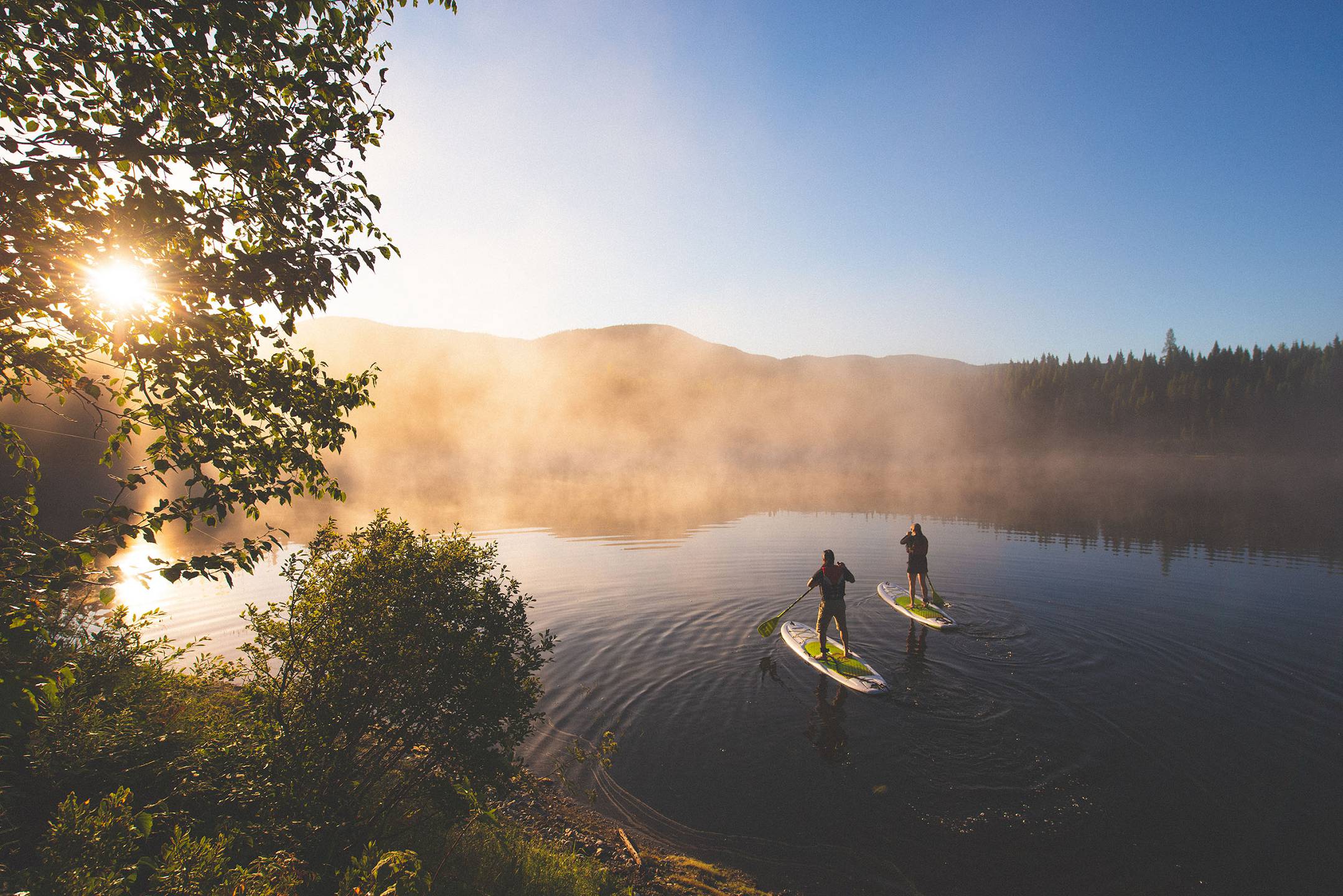 saguenayfjord-zec-onatchiway-7-canopee