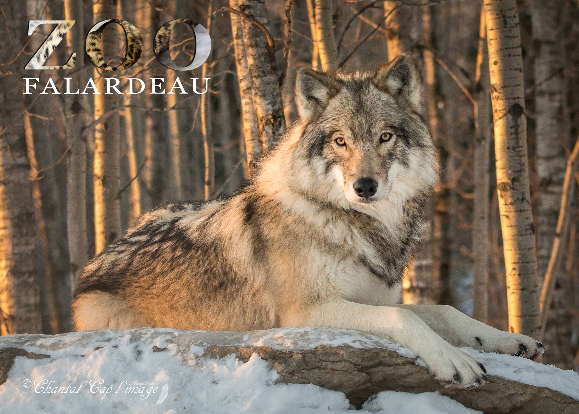 saguenayfjord-zoo-falardeau-cb-20171209-161600