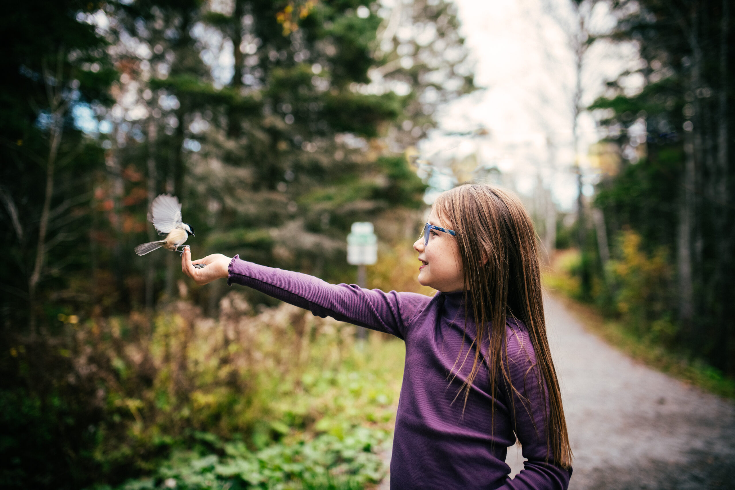 Saguenay_Fjord_randonee_Parc_riviere_moulin_Canopee_2023