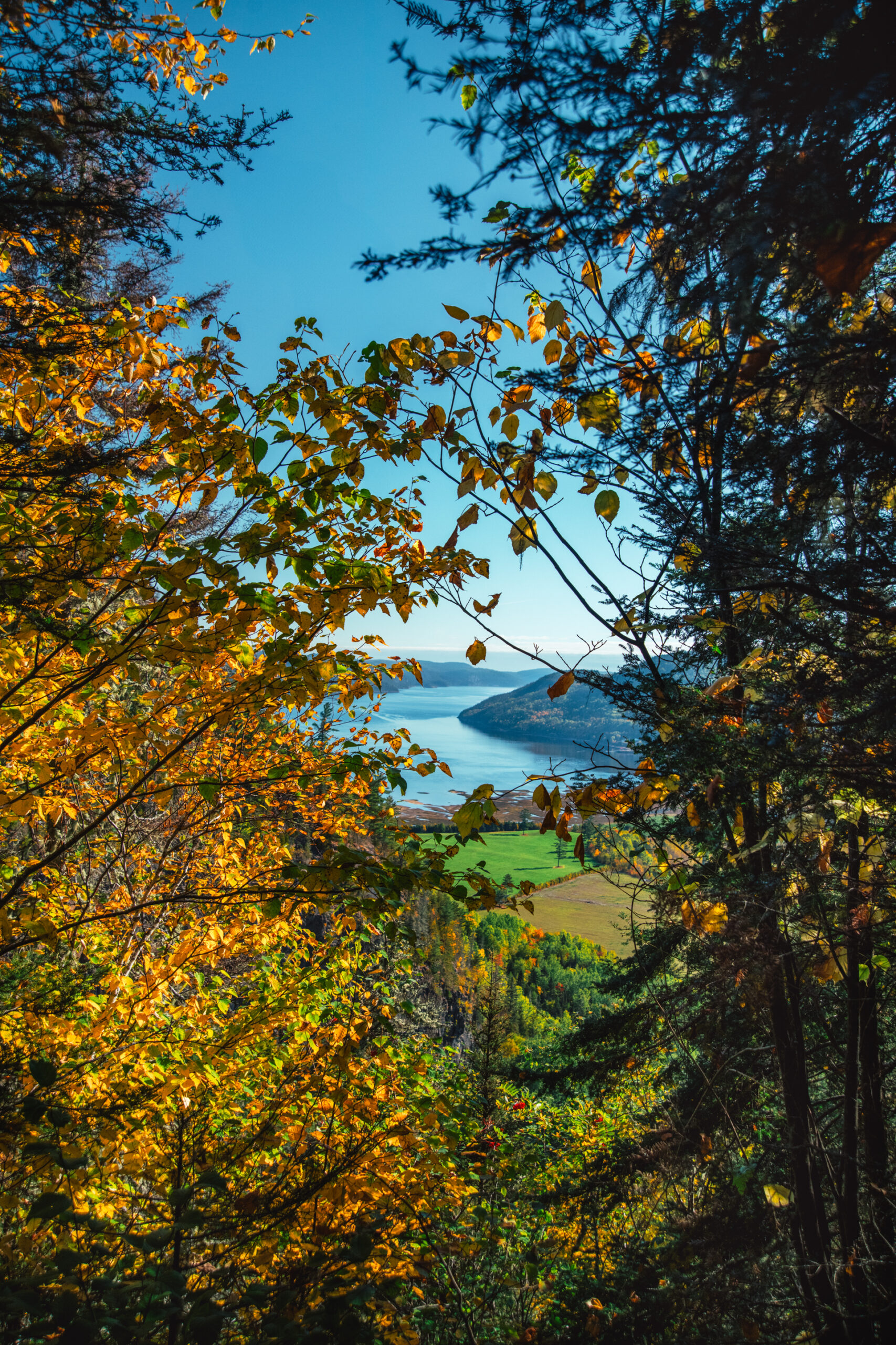 Forêt aux couleurs de l’automne - Saguenay Fjord